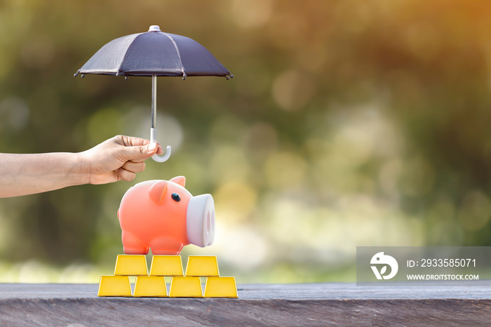 Piggy bank put on the gold bar and woman hand hold the black umbrella for protect on sunlight in the public park, to prevent for asset and saving money for buy health insurance concept.