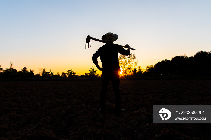 Farmer working on field at sunset outdoor