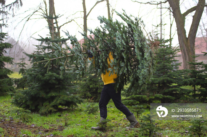 Ein Mann fällt einen Weihnachtsbaum