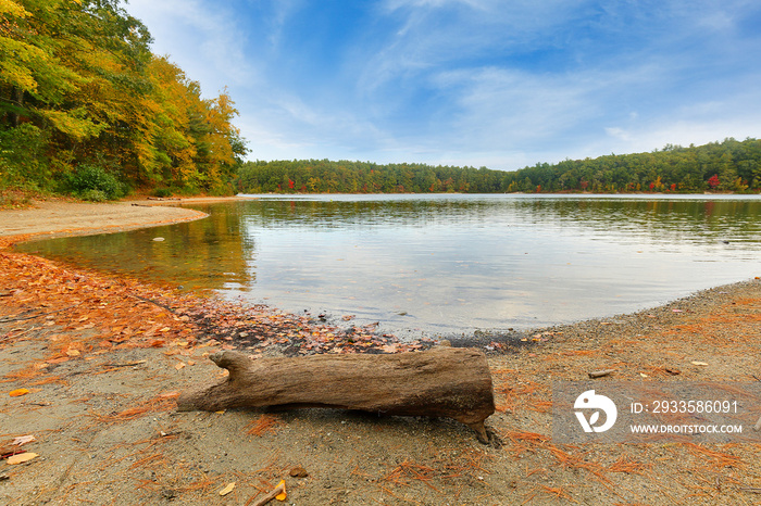 Beautiful fall foliage at Walden Pond at sun rise, Concord Massachusetts USA. Walden Pond is a lake in Concord, formed by retreating glaciers 10,000–12,000 years ago.