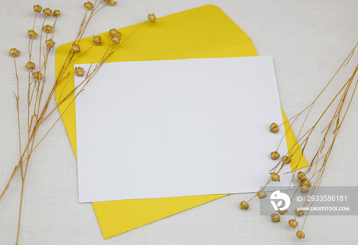 Mockup with envelope and blank card. One yellow envelope on a white fabric. Dried flowers (dried flax) next to the envelope. Minimalism, ecological concept.