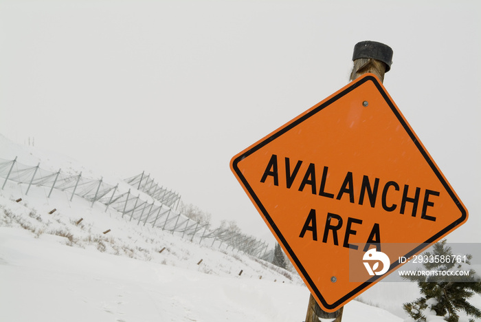 Avalanche Zone and Fence