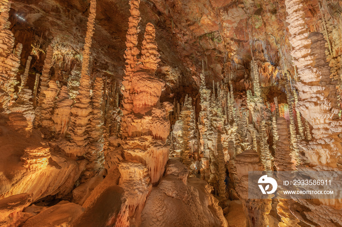 The Aven Armand chasm 100 meters underground where the largest known stalagmite in the world is 30 meters high.