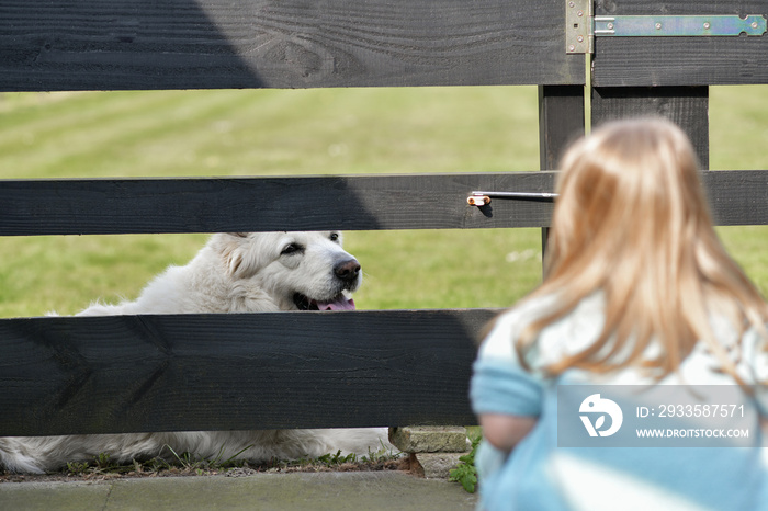 Little girl looks at the dog over the fence of the neighbors