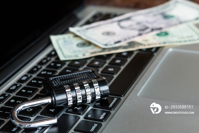 Locker and dollars on a laptop. Security online concept