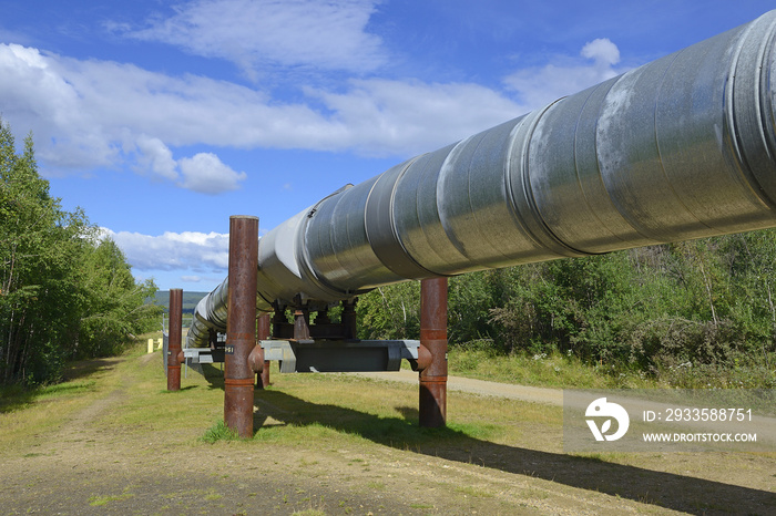 Trans-Alaska oil pipeline near Fairbanks, Alaska, USA