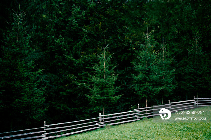 composite summer landscape, fence along the hillside meadows of the mountains. High quality photo