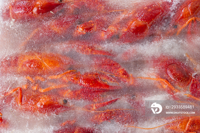 Red lobsters in the ice. Frozen foods. Luxury fresh seafood.  Fresh frozen seafood.