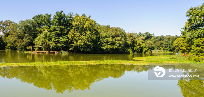 Reflection in the lake in Prospect Park, Brooklyn, New York, USA