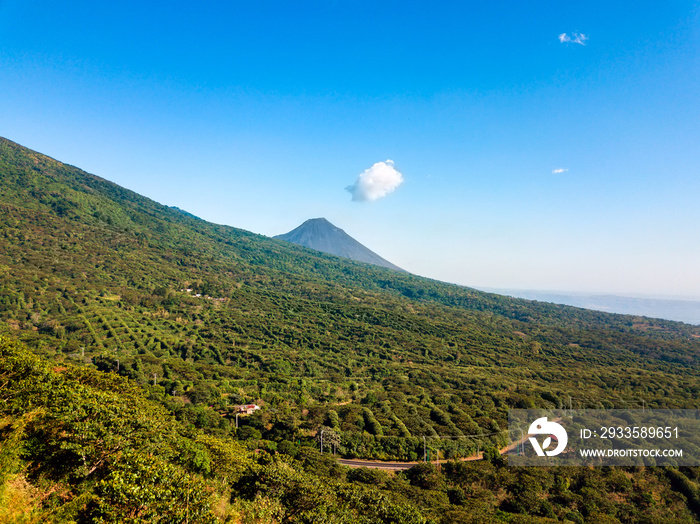 A panoramic view of the coffee forest in Los Naranjos, El Salvador with the Izalco volcano in the background,