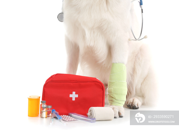 Cute Shepherd dog with first aid kit on white background, closeup