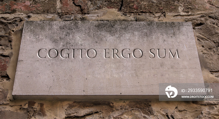 Cogito ergo sum. A Latin philosophical proposition by René Descartes usually translated into English as I think, therefore I am. Engraved text.