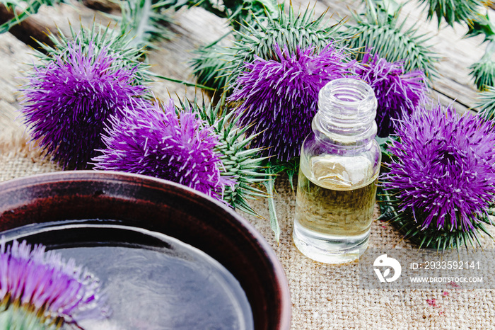 Bottle of thistle essential oil with thistle flowers on wooden background.