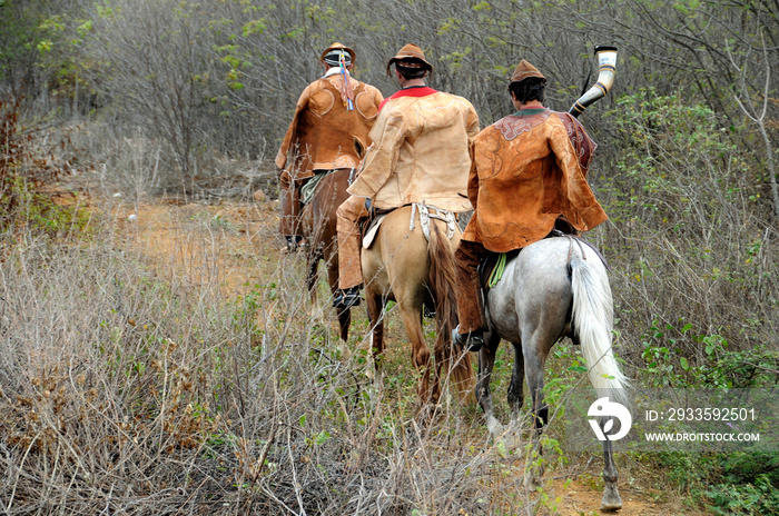 Pega do boi na caatinga - festa realizada no sertão pernambucano