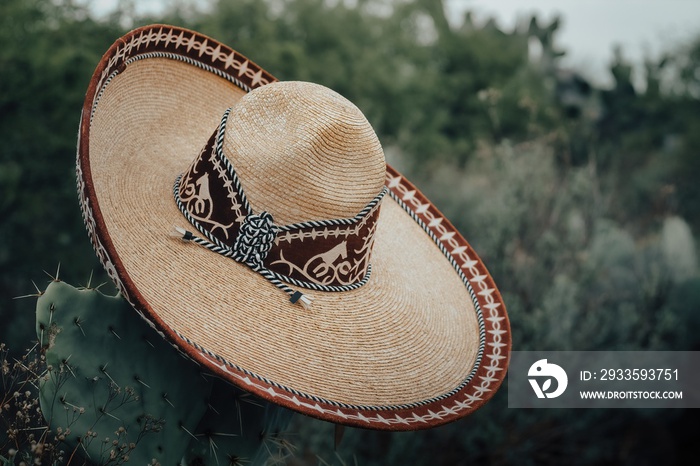 mexican charro hat