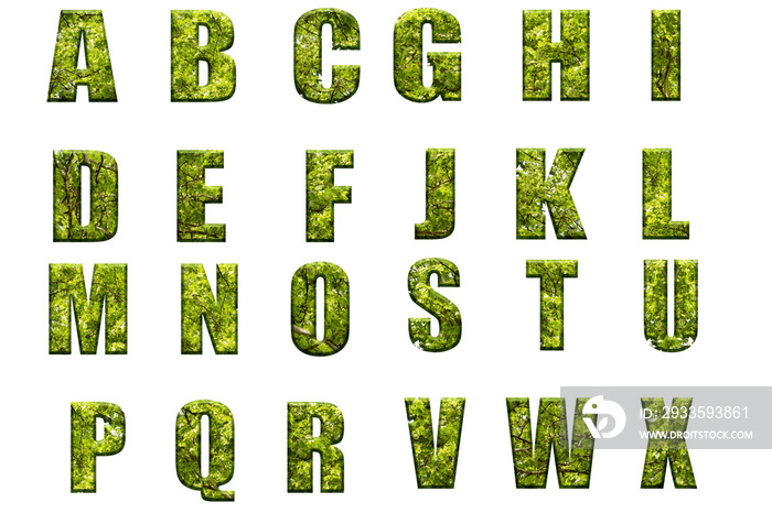 Letters of the alphabet from green leaves of trees