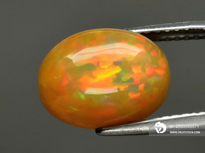 Natural gemstone opal in tongs on a gray background