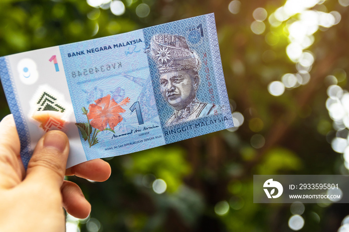 One Ringgit Malaysia bank note on hand isolated with nature green bokeh background.