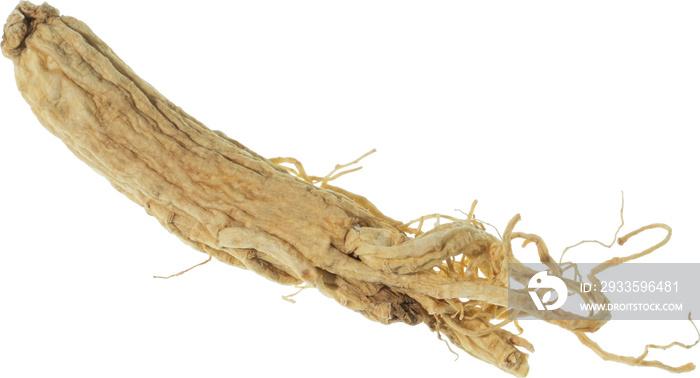 ginseng cut out on transparent background.