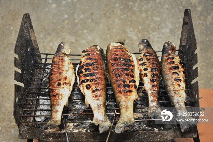 Delicious rainbow trout fish