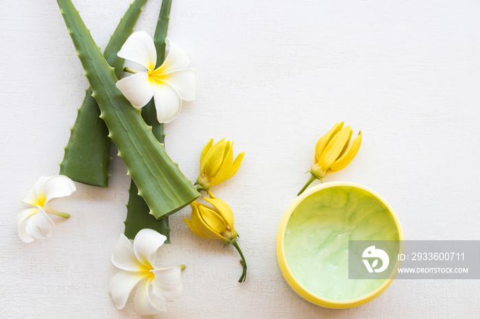 soak cream treatment aroma health care for head and hairs from herbal aloe vera local of asia arrangement flat lay style on background white