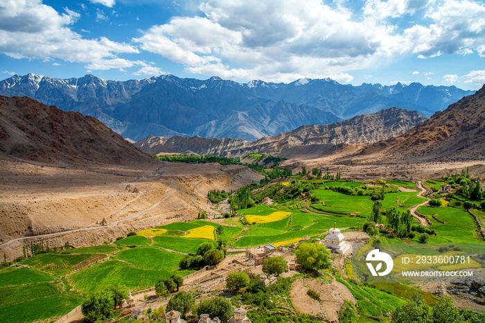 Beautiful Landscape, The Meadows and farmlands at Ladakh , india