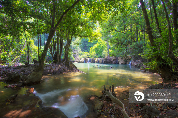 Streams in the rainy season, lush green foliage and water movement