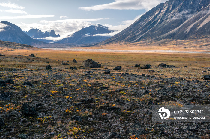 Owl River bed near Mt. Asgard, in arctic remote valley, Akshayuk Pass, Nunavut. Beautiful arctic landscape in the late, sunny afternoon. Iconic mountains on distant horizon. Autumn colors.