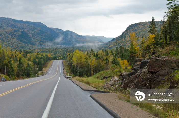 Autumn road