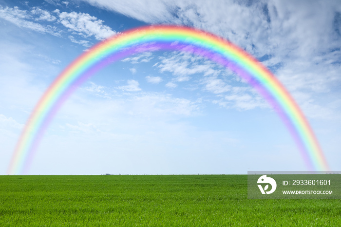 View of field and rainbow in sky on summer day