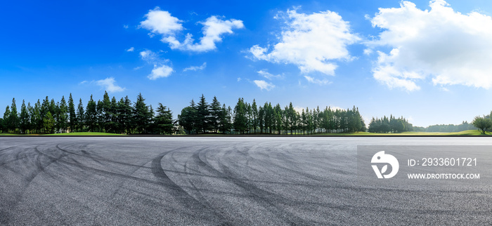 Asphalt race track and green woods nature landscape in summer