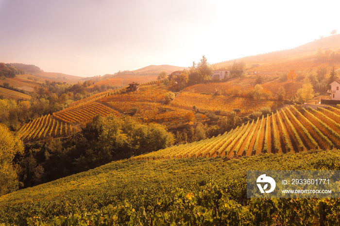 Langhe, Piedmont, Italy. Autumn landscape