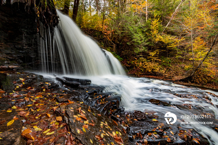 flowing silky cascading waters with  colorful autumn foliage background  on the  woods in Ricketts Glen Pennsylvania