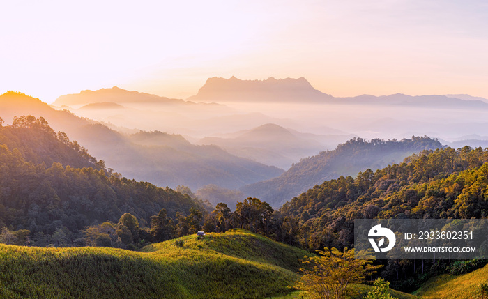 mountain peaks in morning fog - foggy morning over thailand mountains