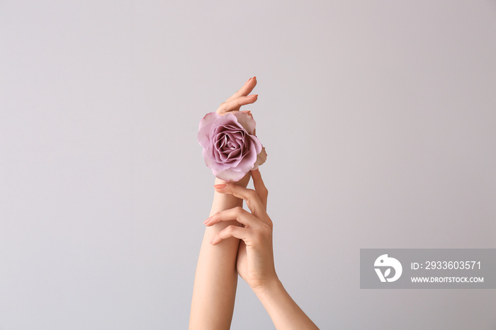 Female hands with beautiful rose on light background