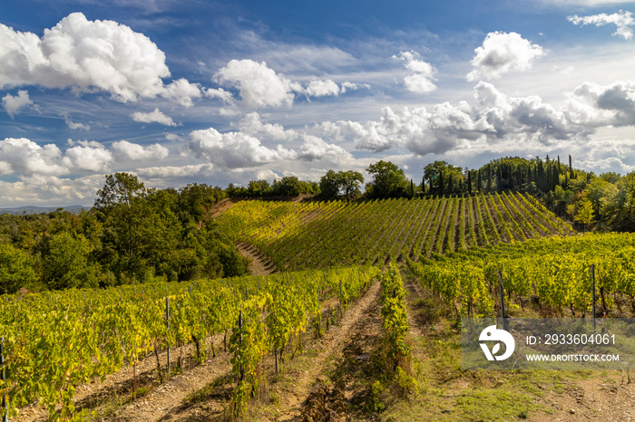 Tuscany’s most famous vineyards near town Montalcino in Italy