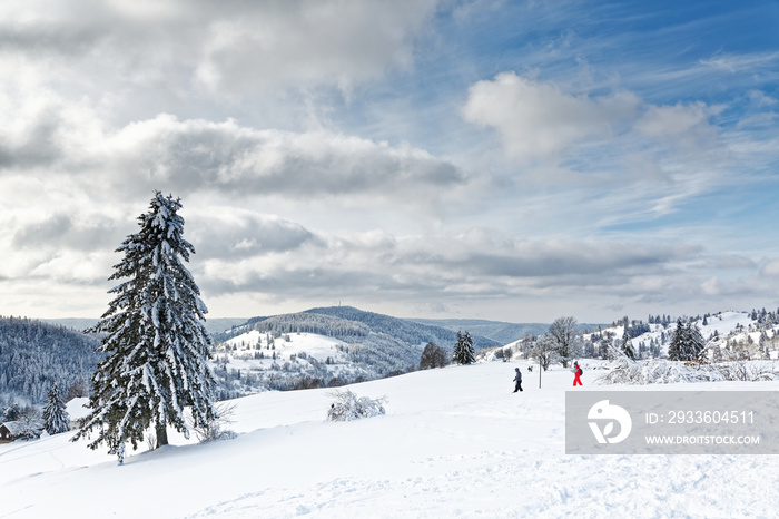 en raquettes dans les Vosges