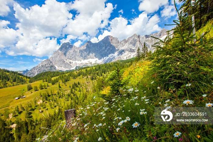 Der Dachstein im Ennstal