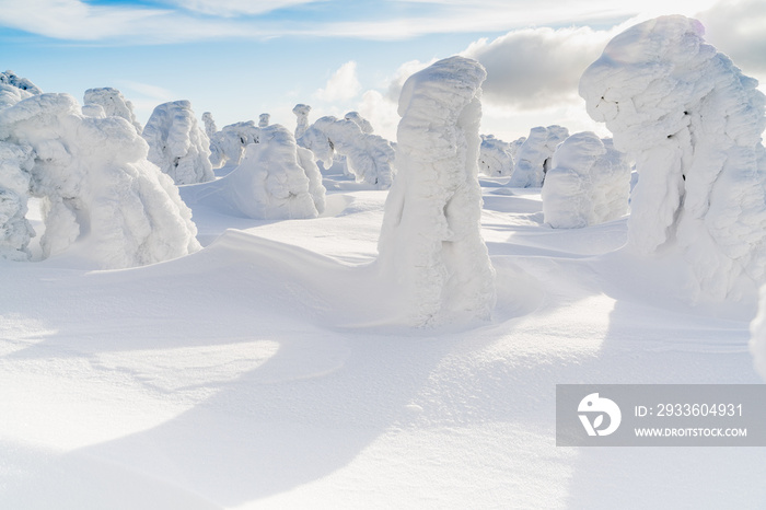 Strange frozen trees as figures in Sudety mountain in Poland on winter.