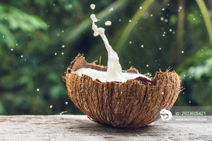 Coconut fruit and milk splash inside it on a background of a palm tree