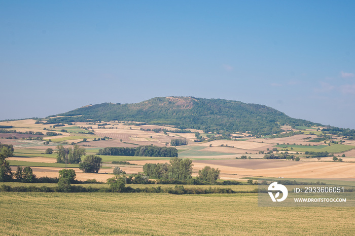 landscape in the summer