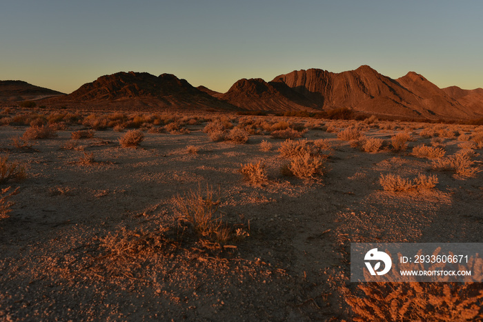 Mojave desert dawn landscape Pahrump, Nevada