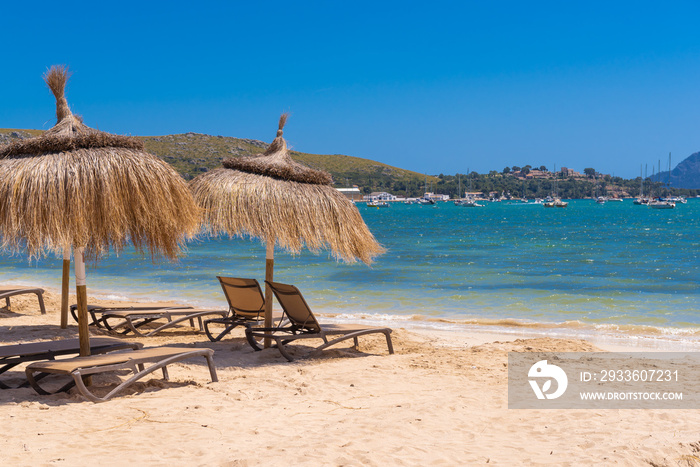 Straw umbrellas with sunbeds on the sandy beach in beautiful Port de Pollenca. Mallorca. Spain