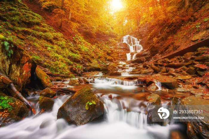 Beautiful waterfall at mountain river in colorful autumn forest with red and orange leaves at sunset.