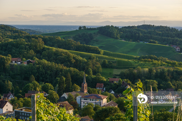 Golden sunset over beautiful landscape with the wine fields of the Black Forest, Sasbachwalden, Germany