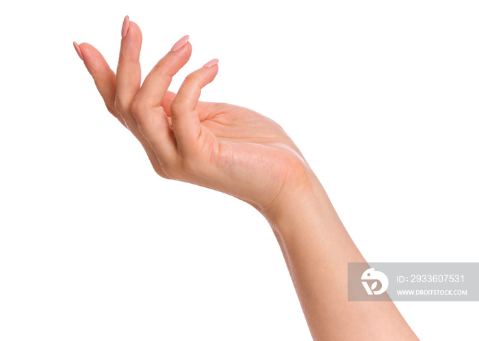 Female hand with manicure, isolated on white background. Beautiful hand of woman with copy space.