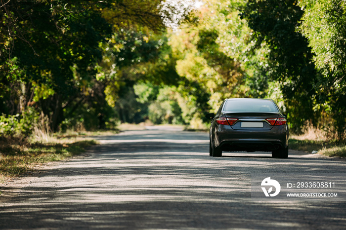 car on the road in the forest