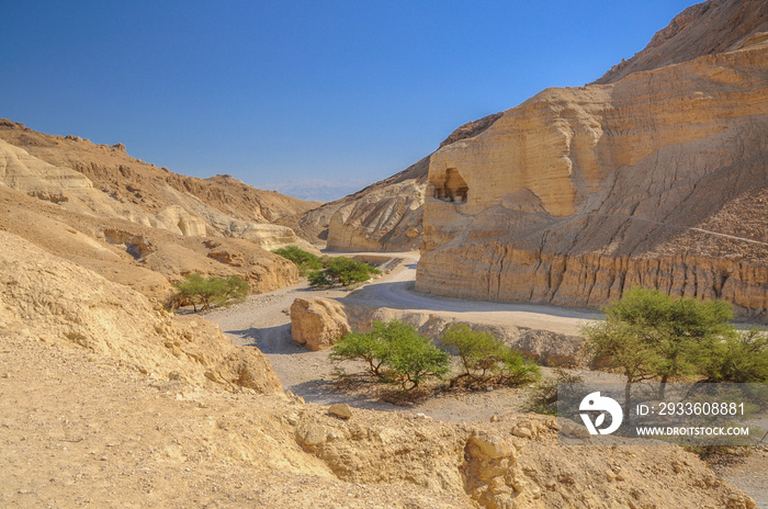 Canyon in the Judean Desert on the West Bank