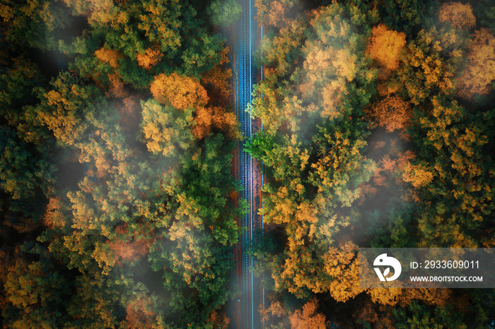 Railway in beautiful mist forest at sunset in autumn. Aerial view of train rails in fall. Fall landscape with railroad and foggy trees foliage. Top view.