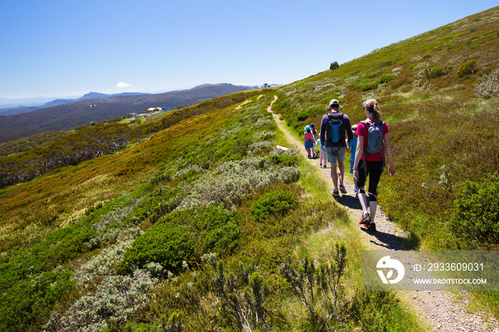 Mount Buller Walking Trails in Summer